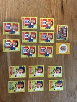 Panini 2026