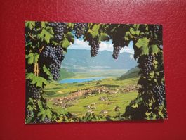 AK Italien Südtirol Caldaro Kaltern