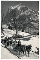Grindelwald, Schlittenpartie, gelaufen 1960