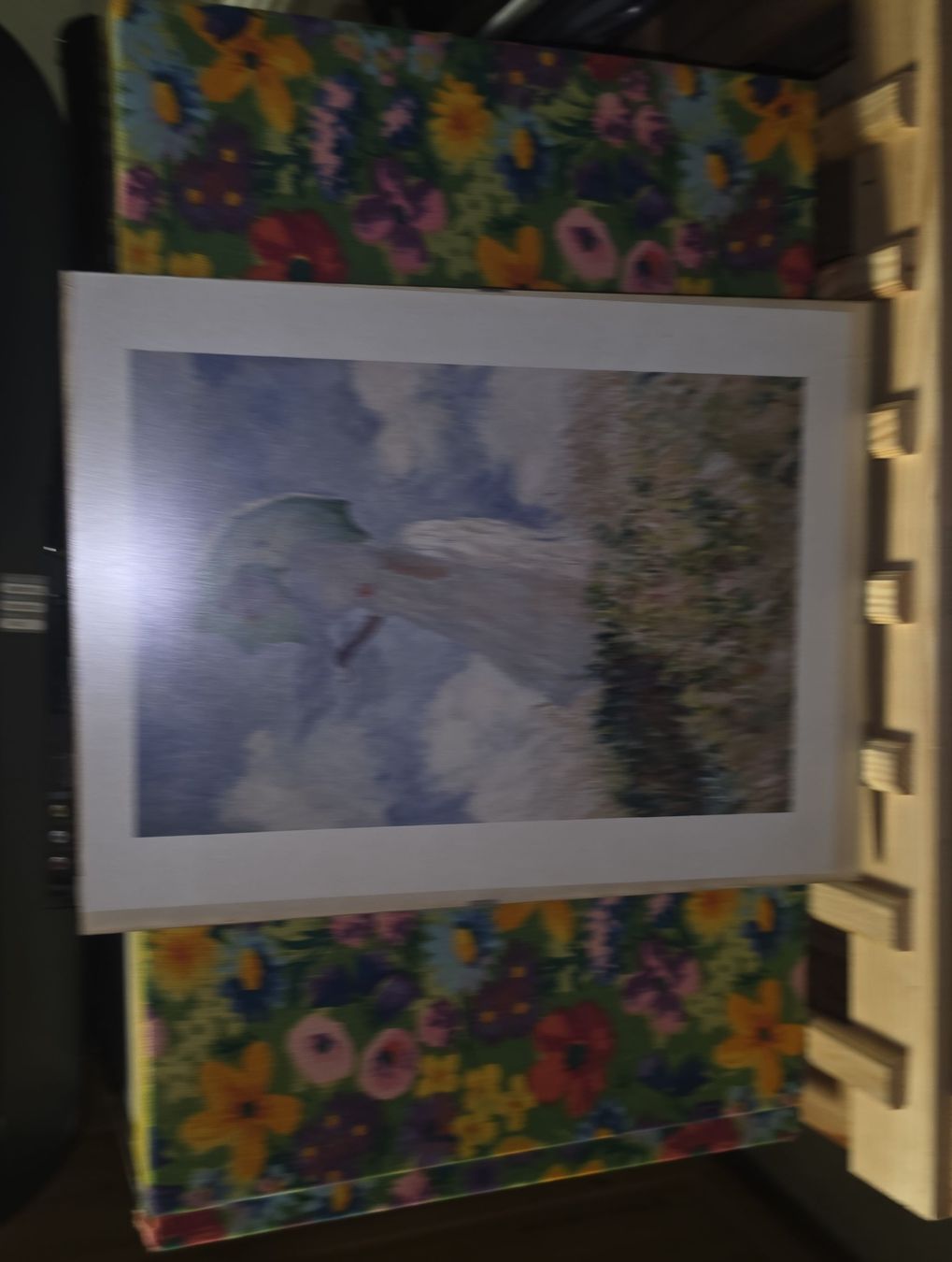 Foto & Immagini: Quadro donna con ombrello floreale – Usato da Losone venduto da dar_h9gj