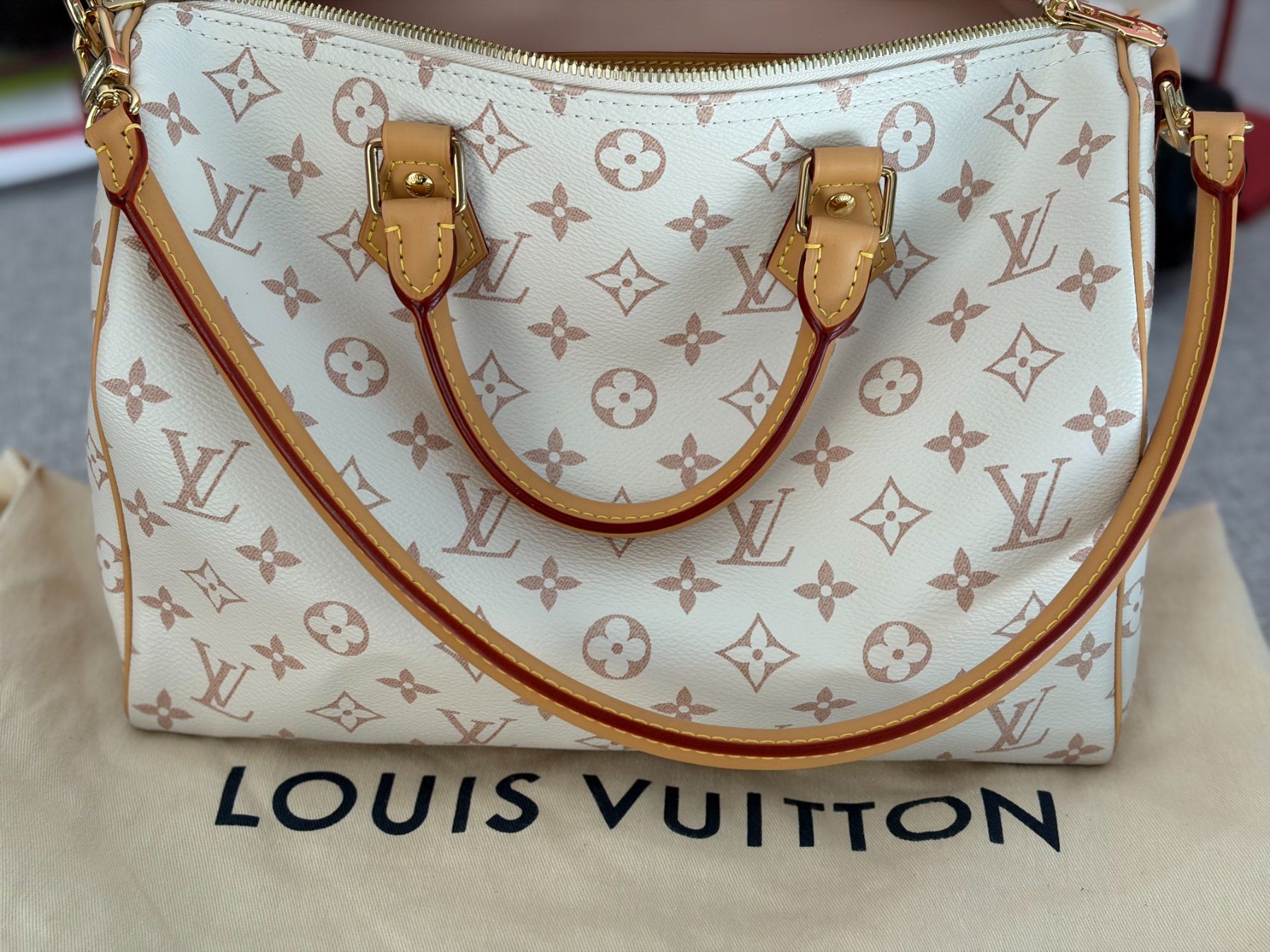 Louis Vuitton Borse da donna: Louis Vuitton Speedy 30 panna e beige – Nuovo (secondo la descrizione) da Sorengo venduto da at217