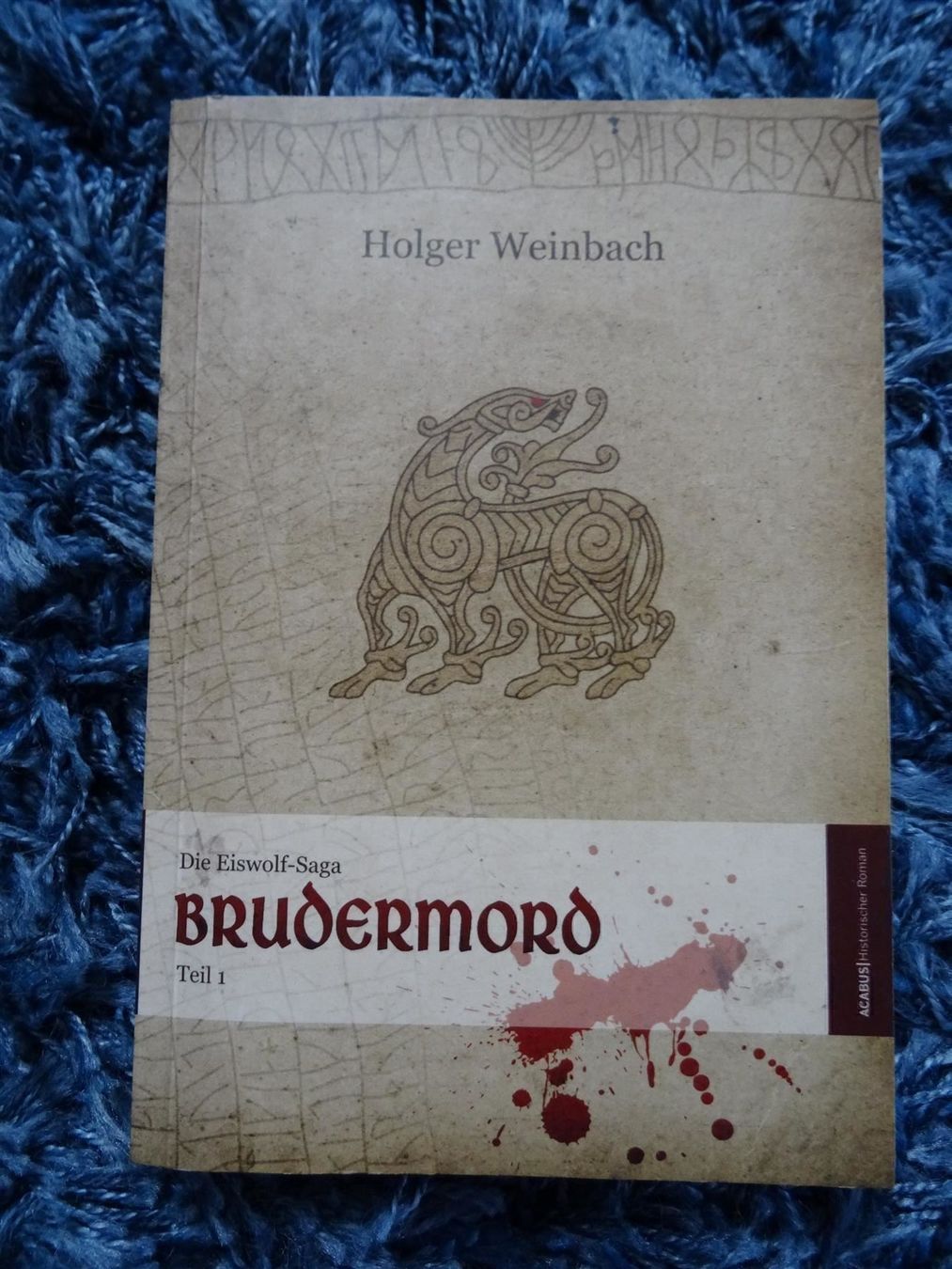 Libri: Die Eiswolf-Saga Brudermord Teil 1 – Usato da Lupfig venduto da Buerkli20