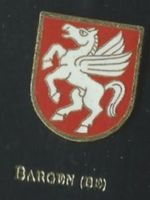 Bargen (BE) Gemeindewappen PIN