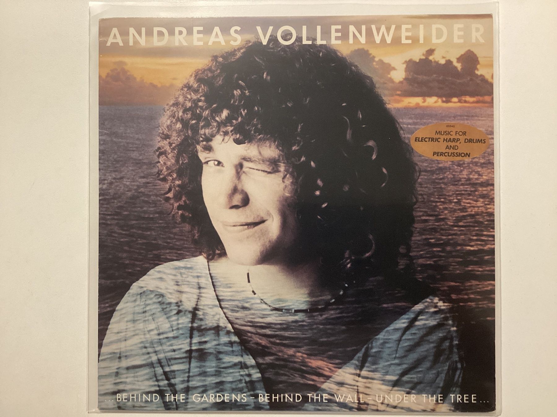 Schallplatten: Andreas Vollenweider LP - Behind The Gardens Behind The Wall – Gebraucht aus Gutenswil von Hamzian