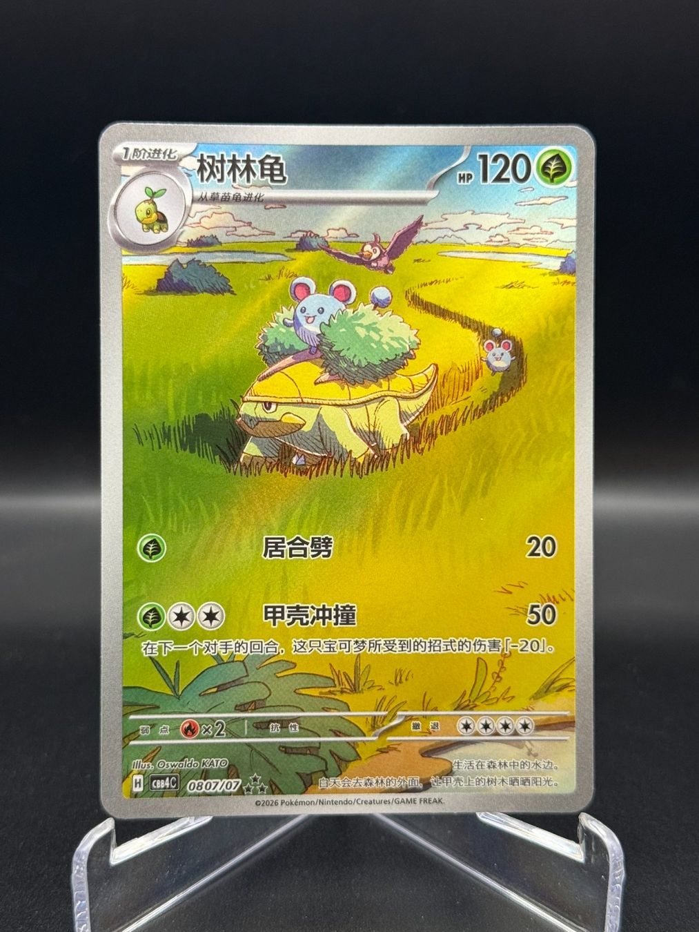Pokémon Sammelbilder & Trading cards: Grotle (CBB4C 08) - Gem Pack 4 – Gebraucht aus Birmensdorf ZH von SnorlaxMail
