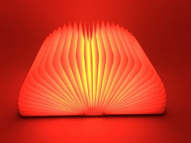 Lampade: Buchlicht – Nuovo e nell'imballaggio originale da Richterswil venduto da Psaegi0 3