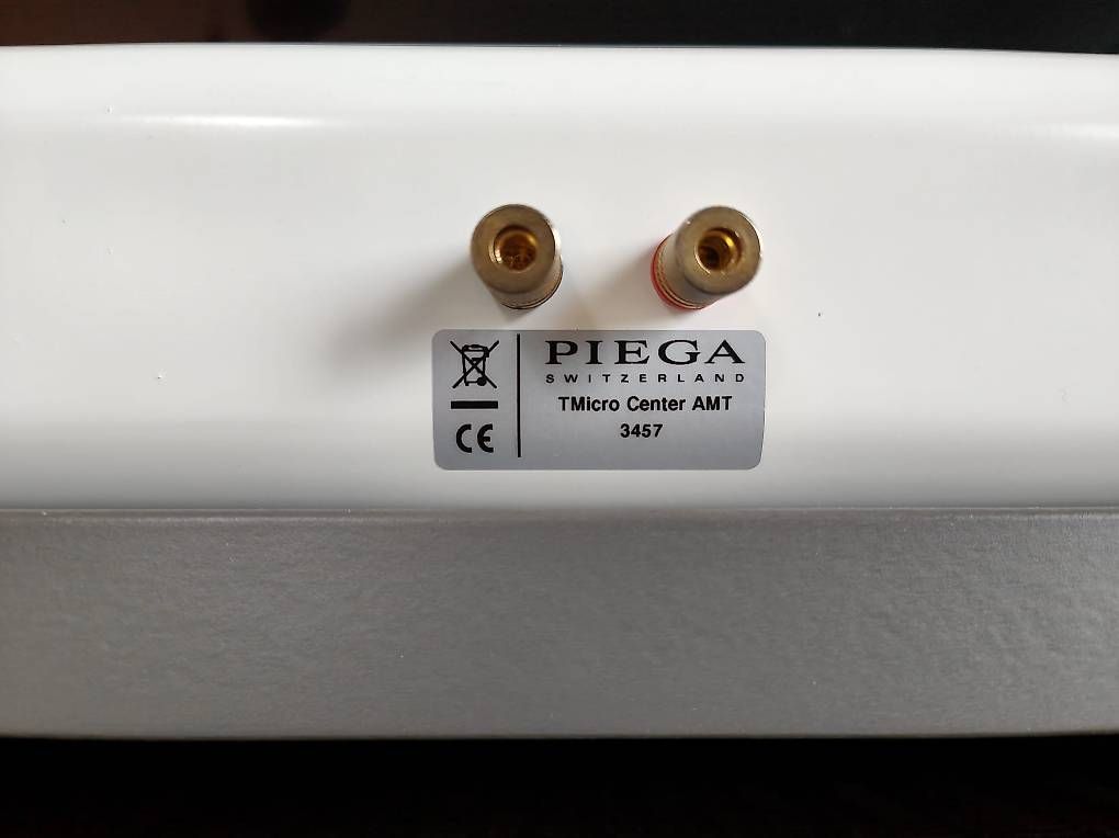 Piega Casse acustiche: Piega TMicro Center AMT – Usato da Brunnen venduto da Ronsight 2