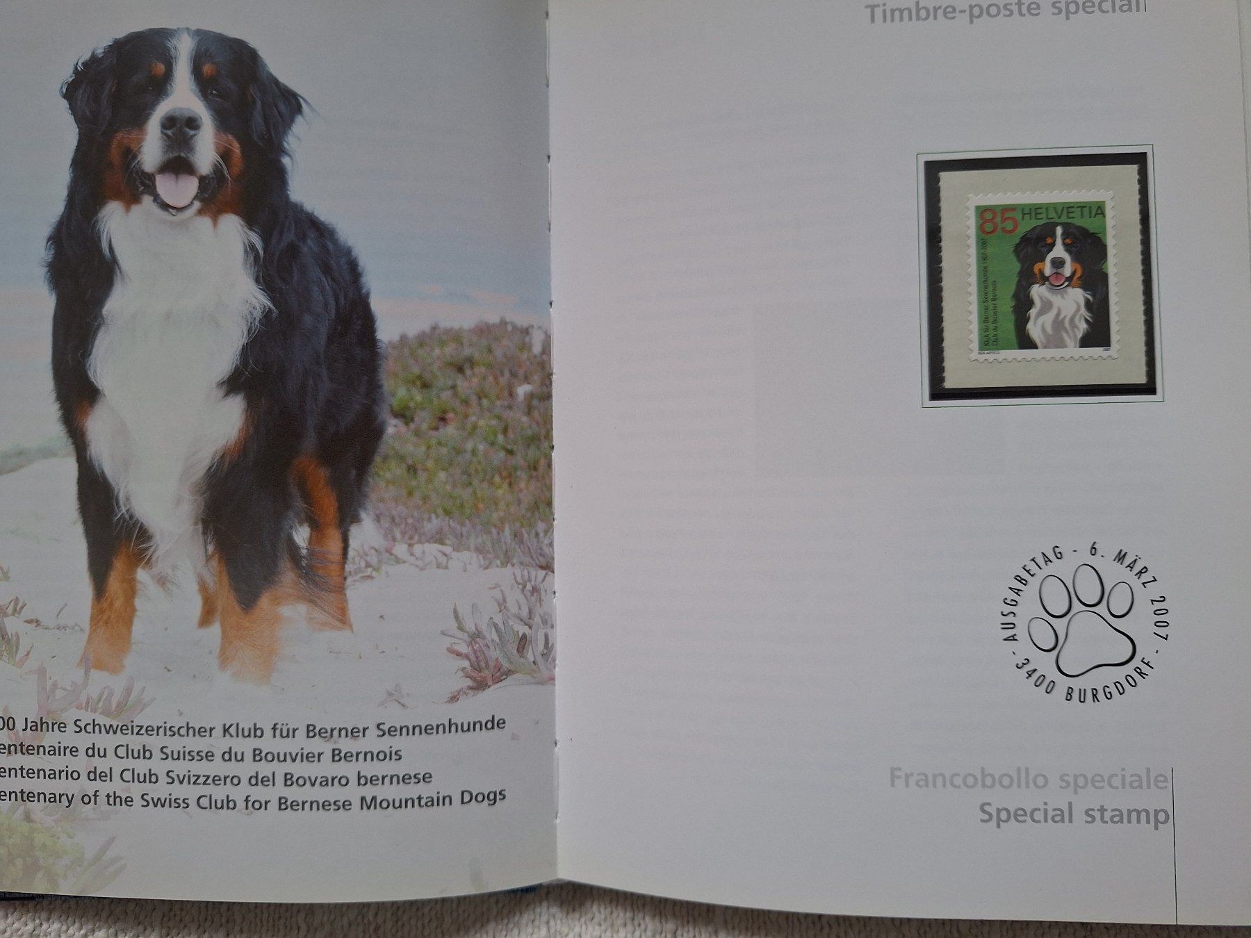 Tutti i francobolli: Timbre spécial Suisse 2007 - Roger Federer & Bouvier! – Nuovo e nell'imballaggio originale da Onex venduto da adr_fg5g 1