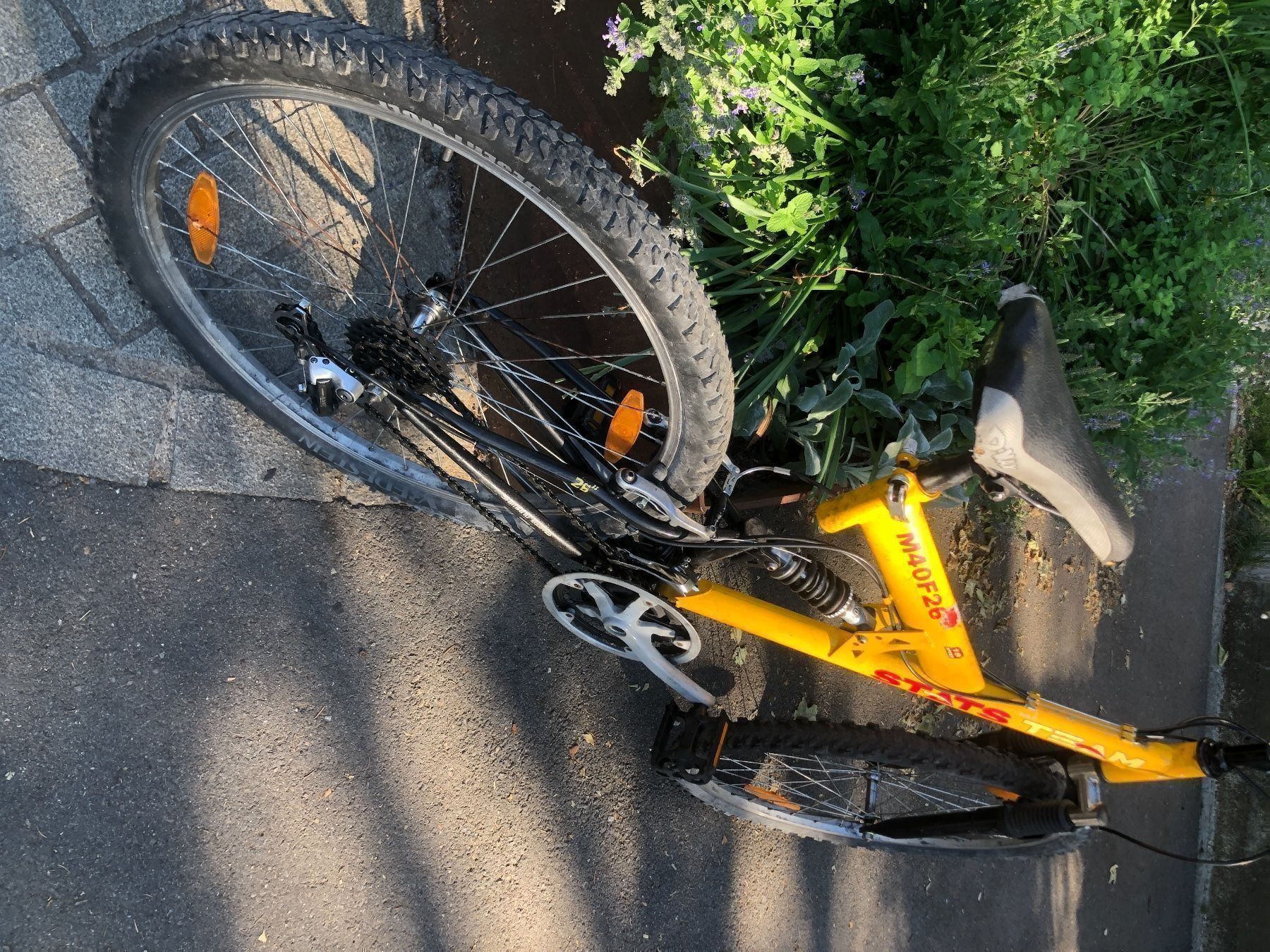 Velos: Mountainbike Stats Team – Gebraucht aus Schlieren von Flower5 1