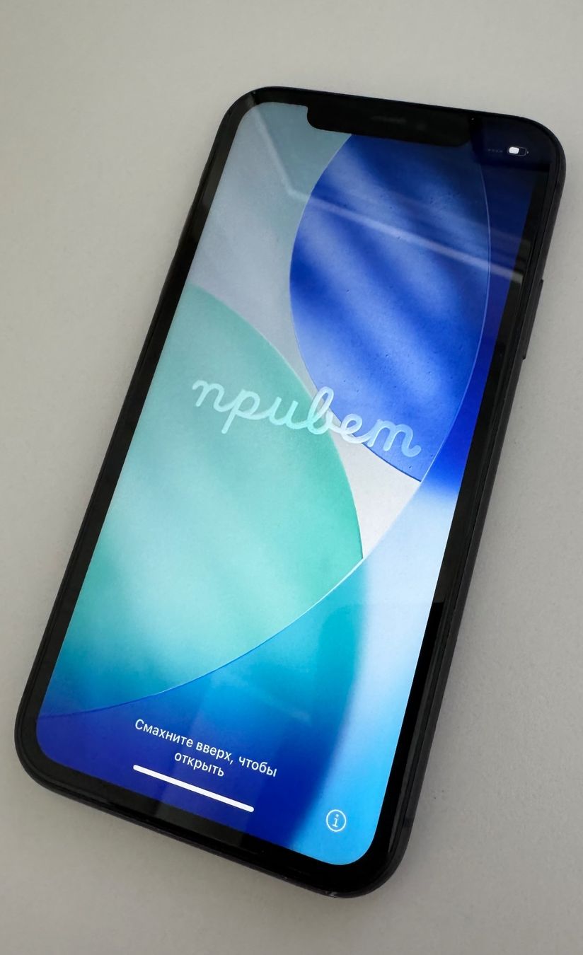 Apple Telefoni cellulari / Smartphones: iPhone 11 voll funktionstüchtig – Usato da Baar venduto da corareichlin