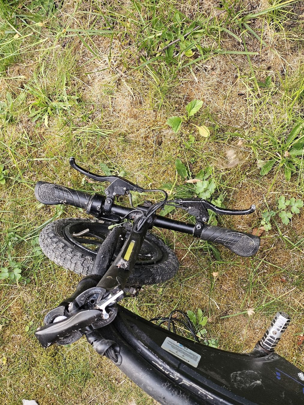 Mini Bike: E-Bike / E-Scooter – Difettoso da Seuzach venduto da hwulf 6