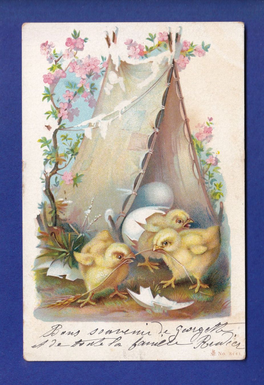 Ansichtskarten: OISEAU - Poussins – Gebraucht aus Pully von nicecards-shop