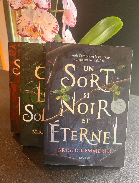 Libri: Un sort si noir et éternel T.1-2-3 (broché) – Usato da Cousset venduto da xgi_c7z6