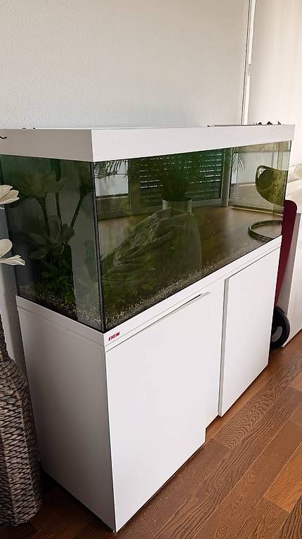 Acquari: Aquarium 240 Liter – Usato da Belp venduto da eva_tc8s 2