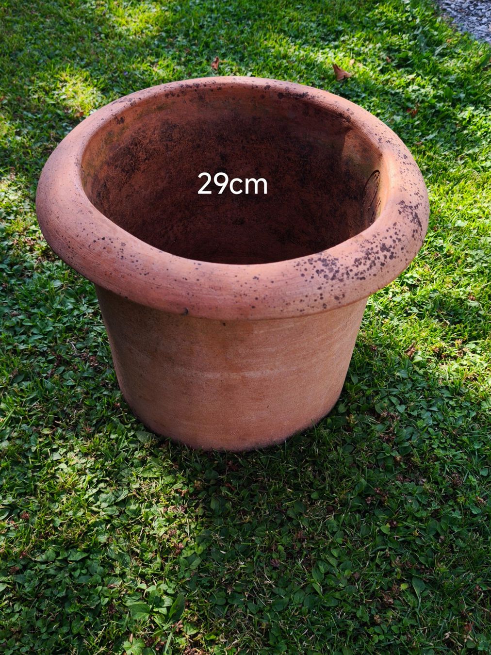 Pots de fleurs: Blumentopf Terrakotta rund Ø 29cm – D'occasion à Wetzikon ZH par Mojopali
