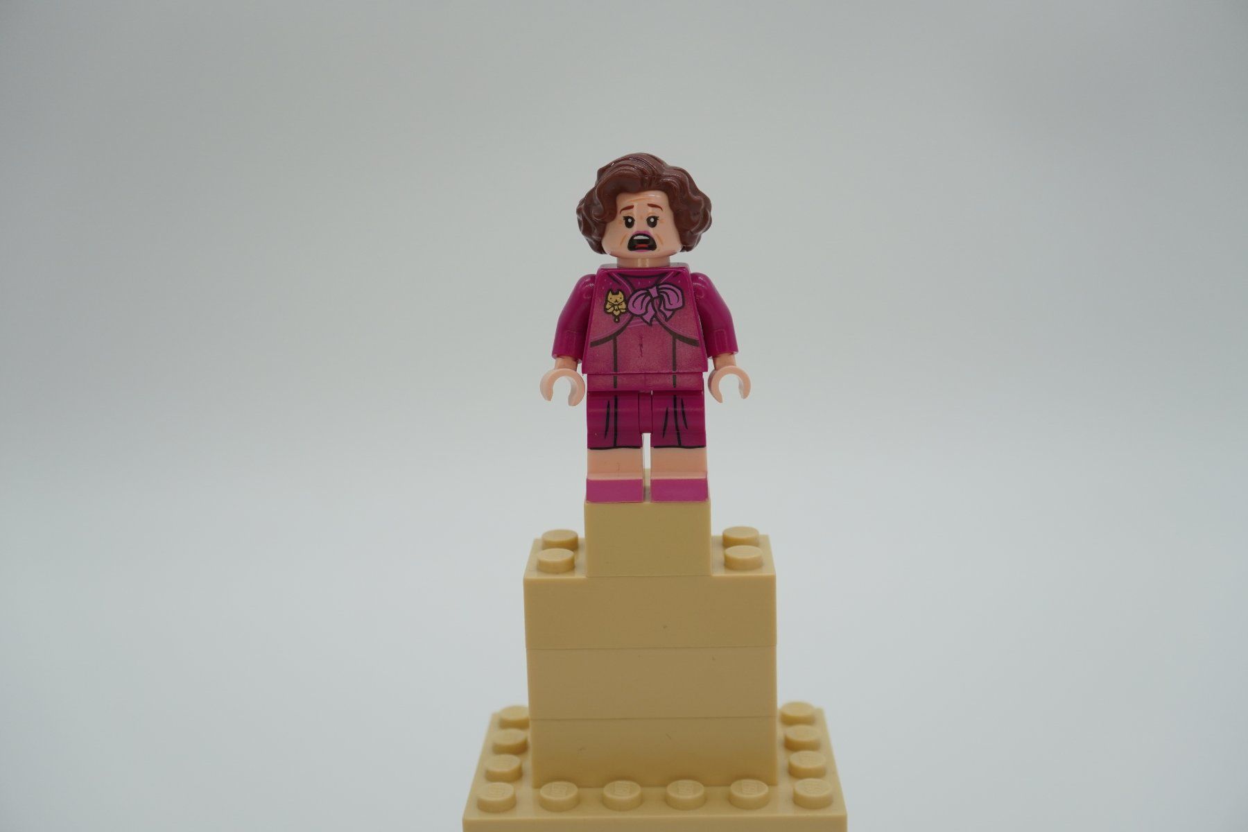 Lego Spielzeuge: Lego Harry Potter Professoren Bundle – Gebraucht aus Zürich von PWRgZ 3