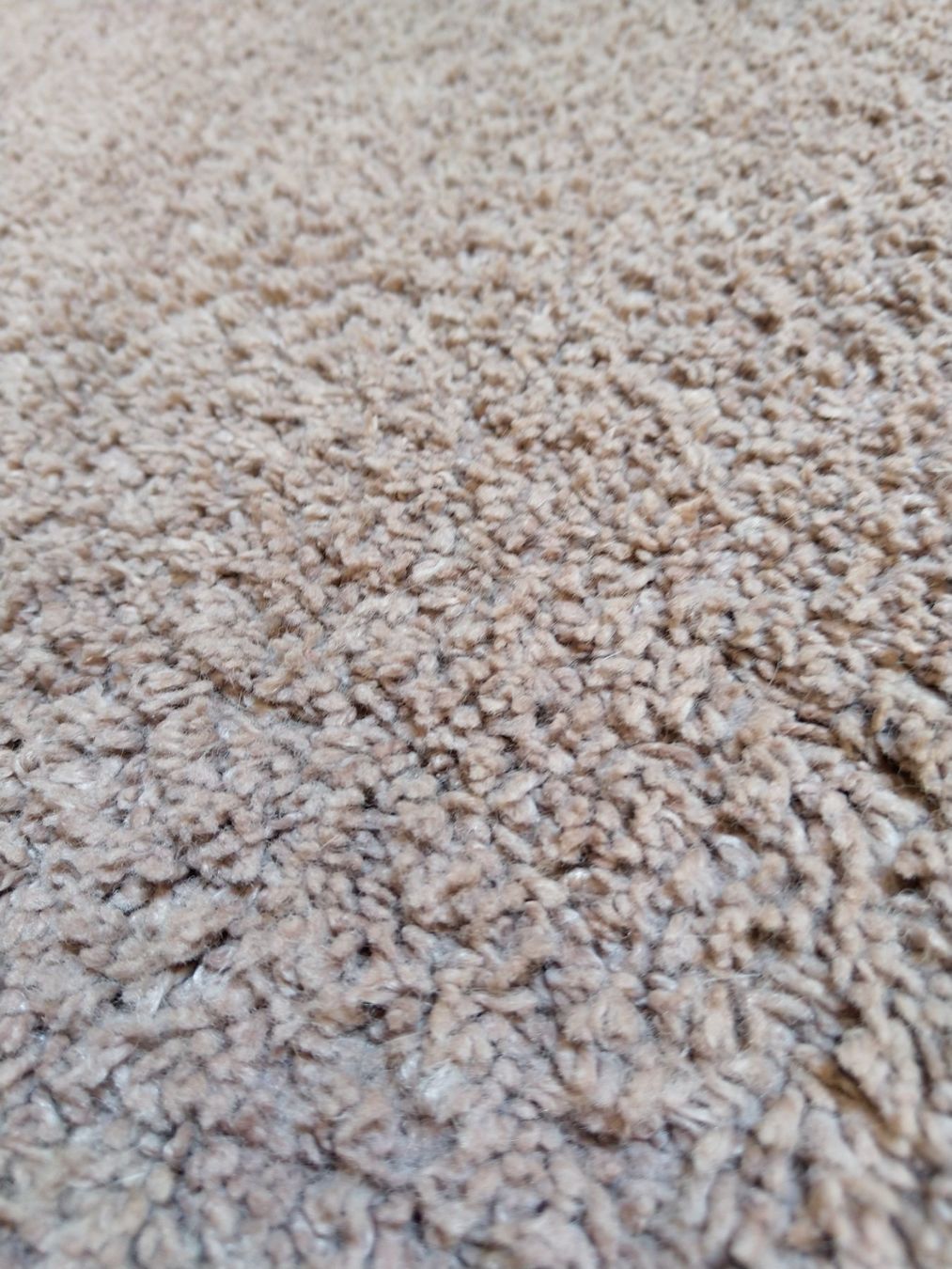 Micasa Tappeti: Tapis 133 x 195 – Usato da Gland venduto da Coyotte 2