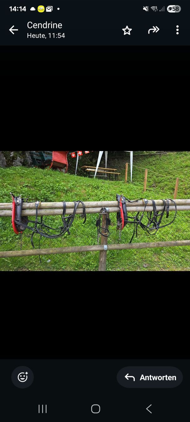 Briglie & Cavezze: 2 Colliers grisonnais rouges pour poneys – Usato da Herrliberg venduto da revelune 4