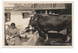 LANDWIRTSCHAFT DAVOS Bäuerin mit Kind & Stier