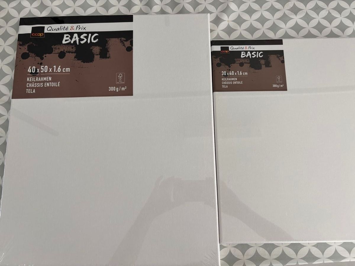 Poster & Bilder: 3 versch. Malleinwände – Neu und originalverpackt aus Herzogenbuchsee von ameise02 2