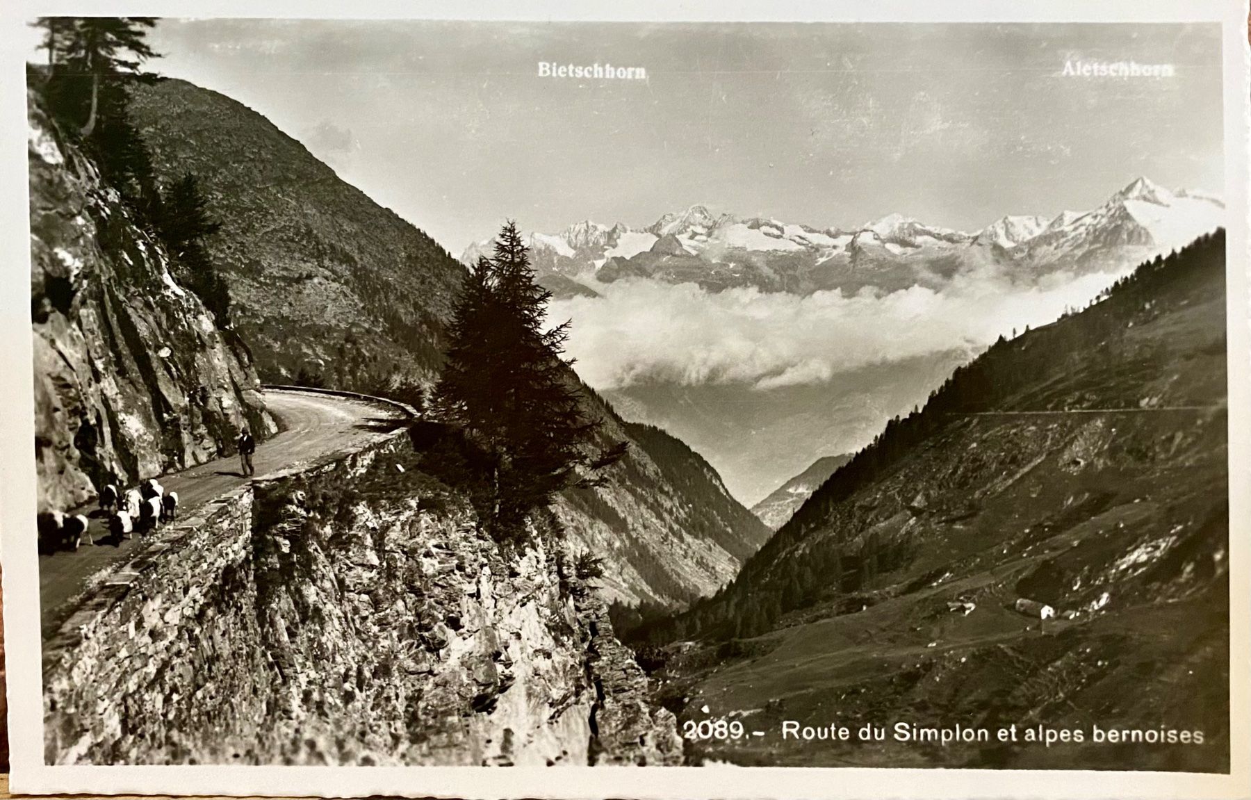 Ansichtskarten: Route du Simplon et alpes bernoises – Gebraucht aus Root von ENGLAND-TREASURES 1