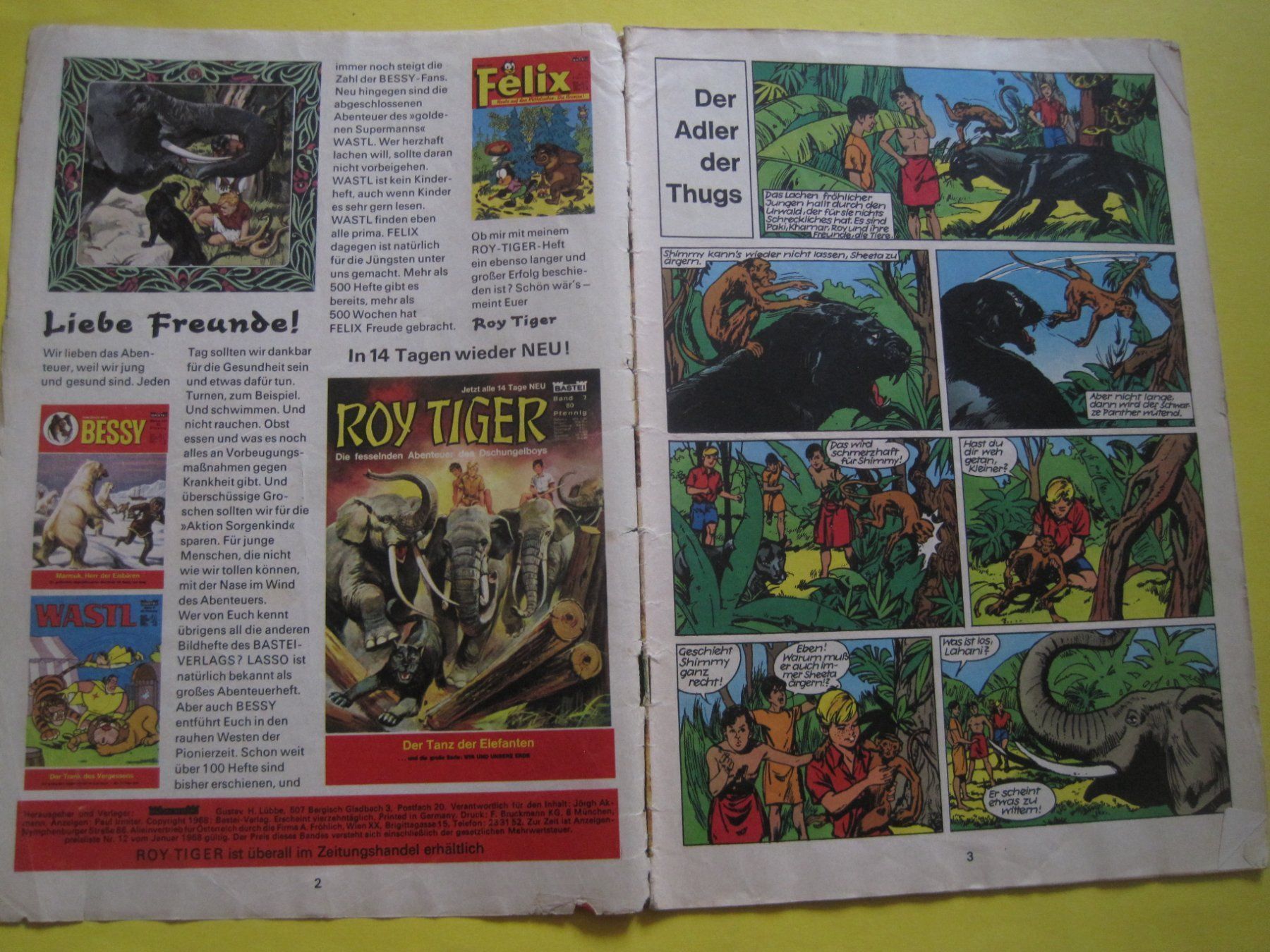 Comics: Roy Tiger Nr 6 das erste Abenteuer – Gebraucht aus Gossau SG von Noryflory 1
