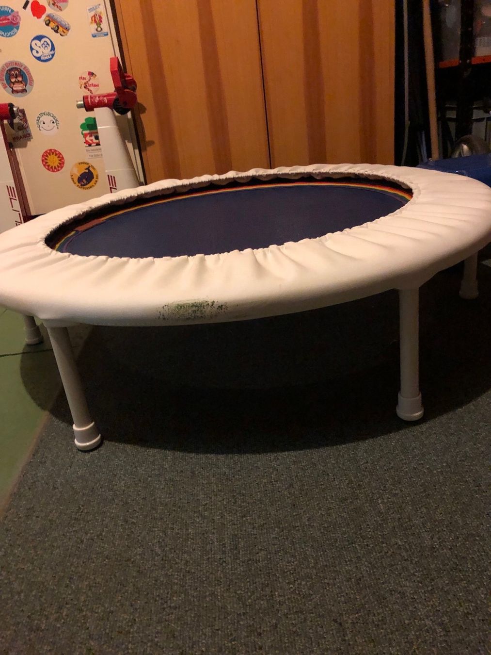 Trampolini: Indoor Trampolin – Usato da Uster venduto da shaege