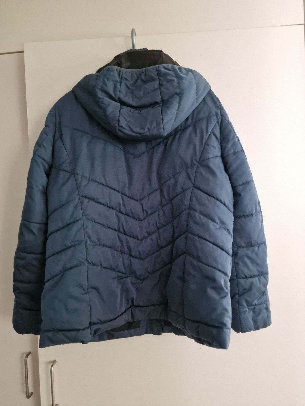 Cecil Giacche: Cecil Jacke Gr.XL – Usato da Oberarth venduto da Zimtstern01 1