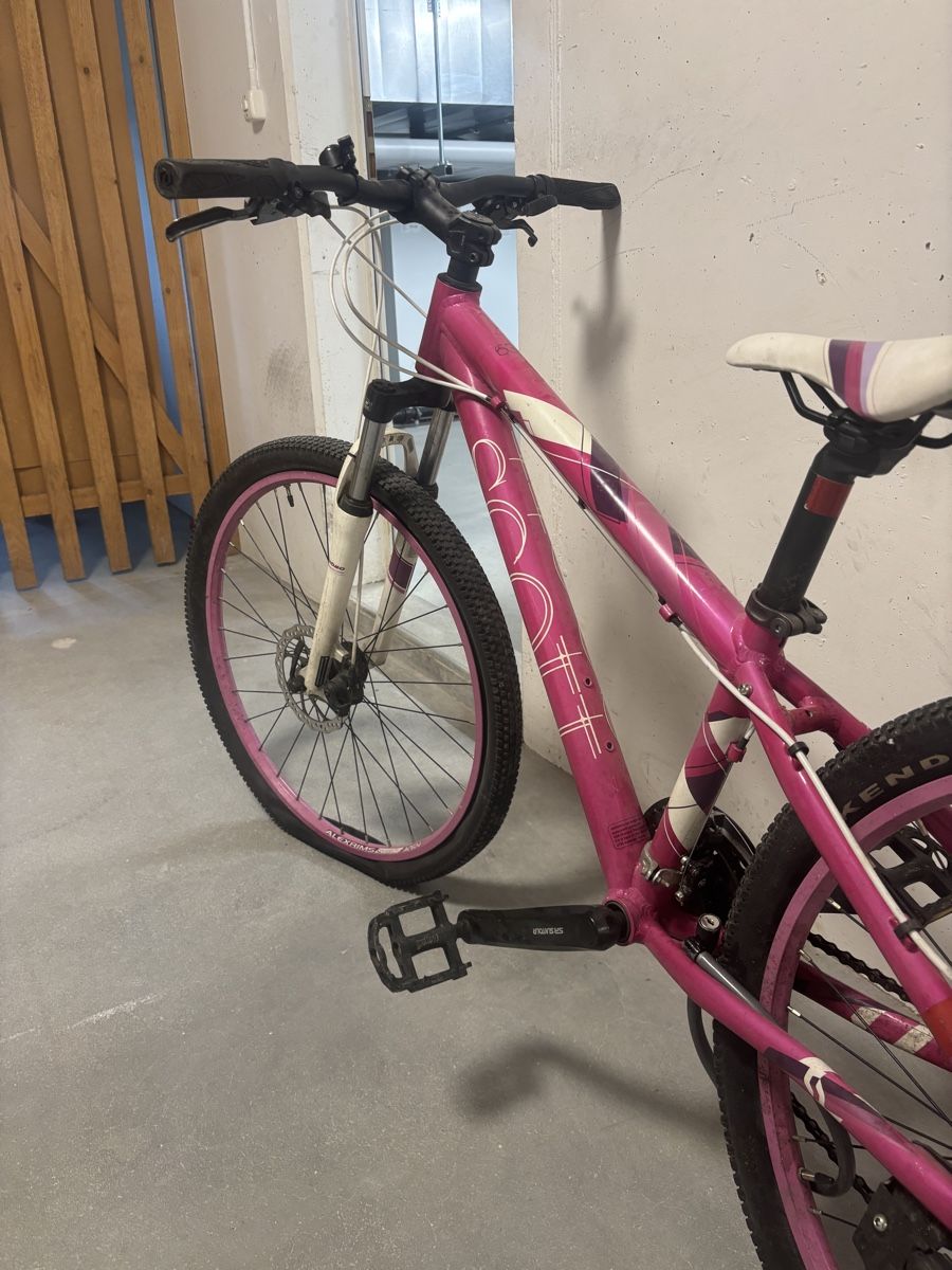 fully mtb e-bike Extreme 600 Electric Mountain Bike