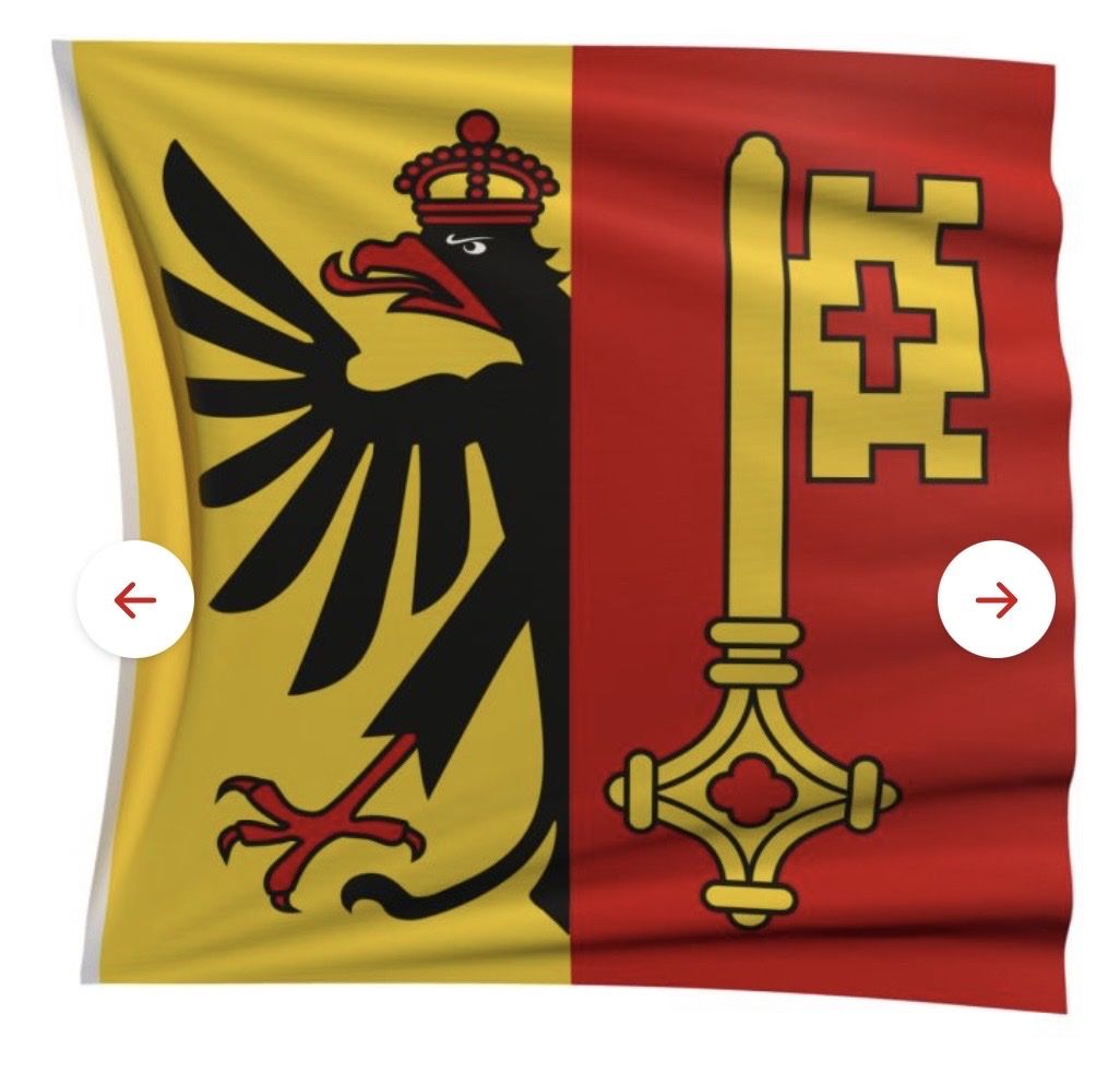 Bandiere: Gigantesque Drapeau du canton Genève 4m / 4m – Usato da Genève venduto da Dragonfish 1