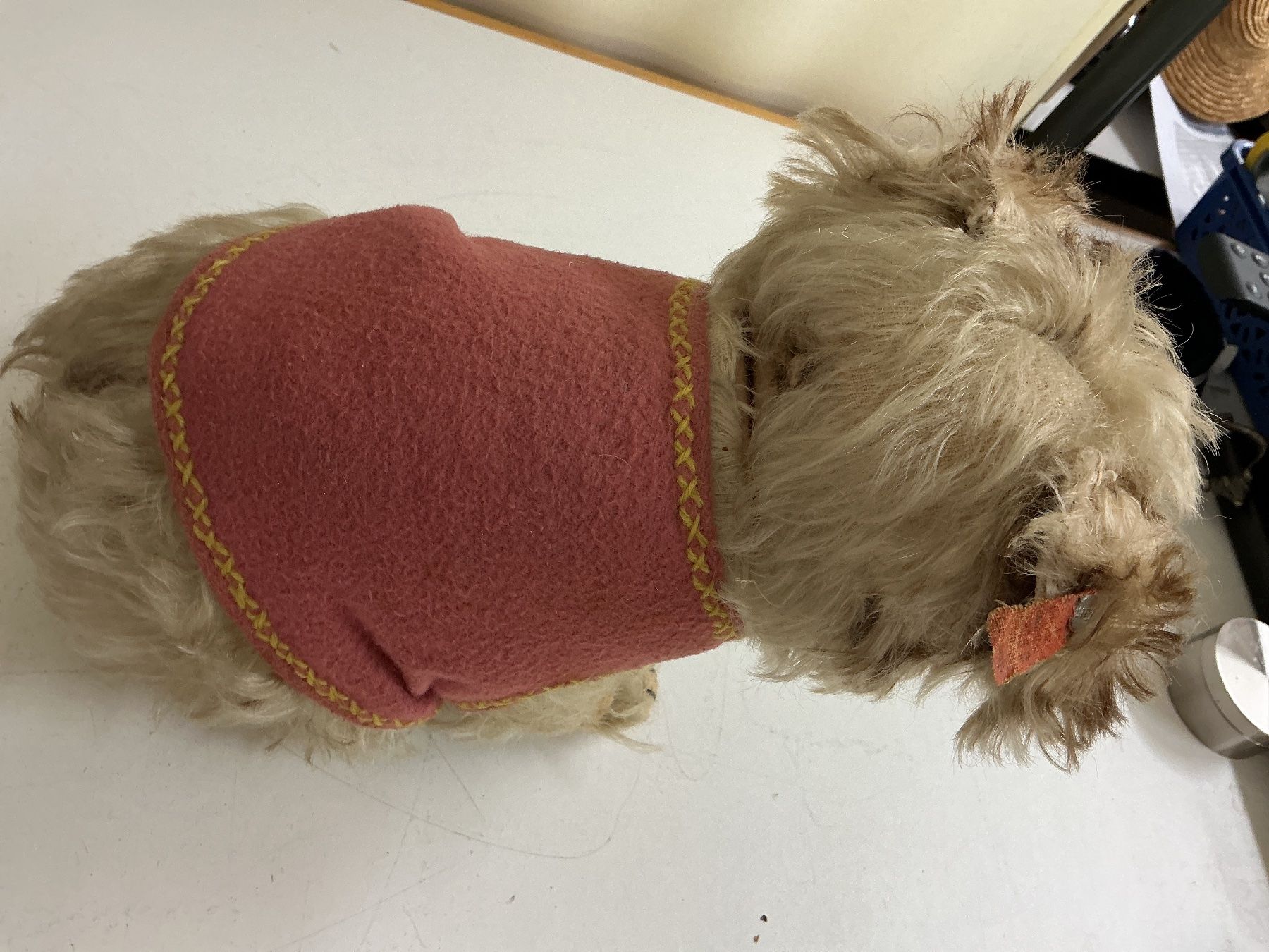 Giocattoli: Steiff Molly Hund – Usato da Bern venduto da vielerart 5