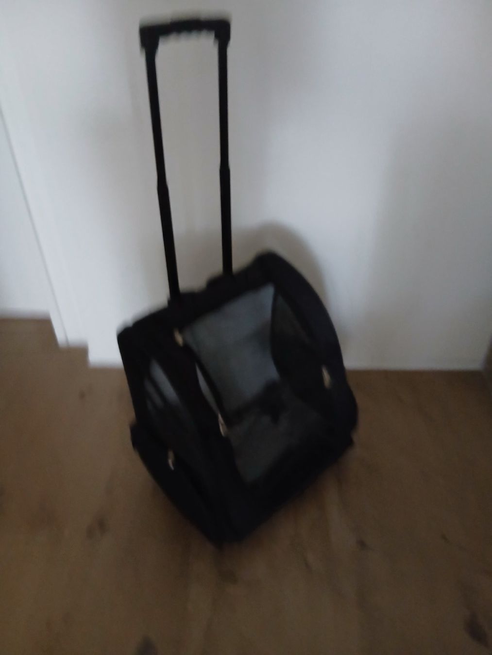 Valigie & Borse: Hunde Trolley – Usato da Lyss venduto da Joeljambo 3