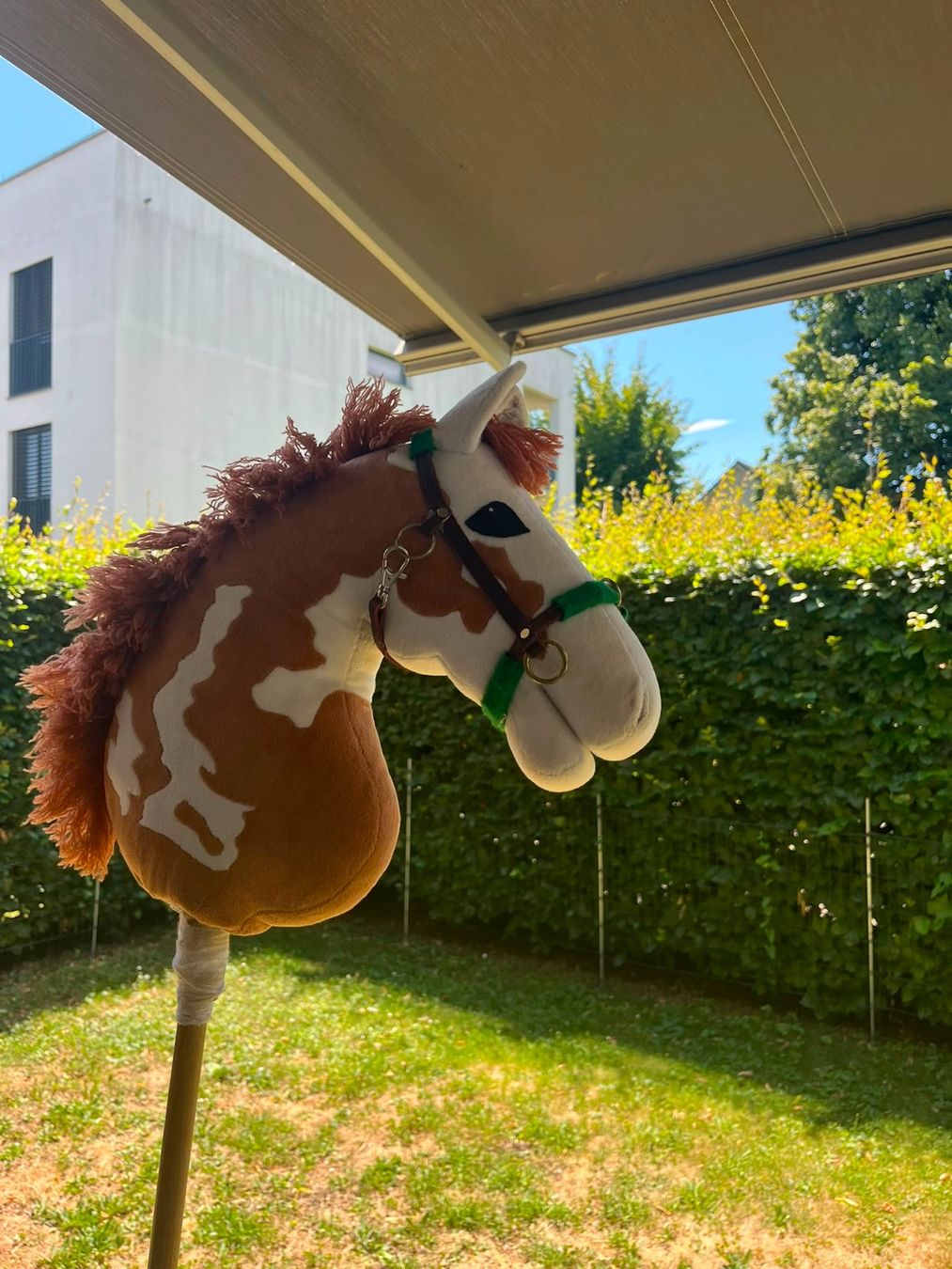 Giocattoli: Hobby Horse – Usato da Nänikon venduto da a.hugentobler 1