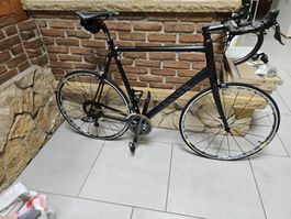 Canyon Ultimate AL 9.0 3XL Ultegra Di2 wie neu