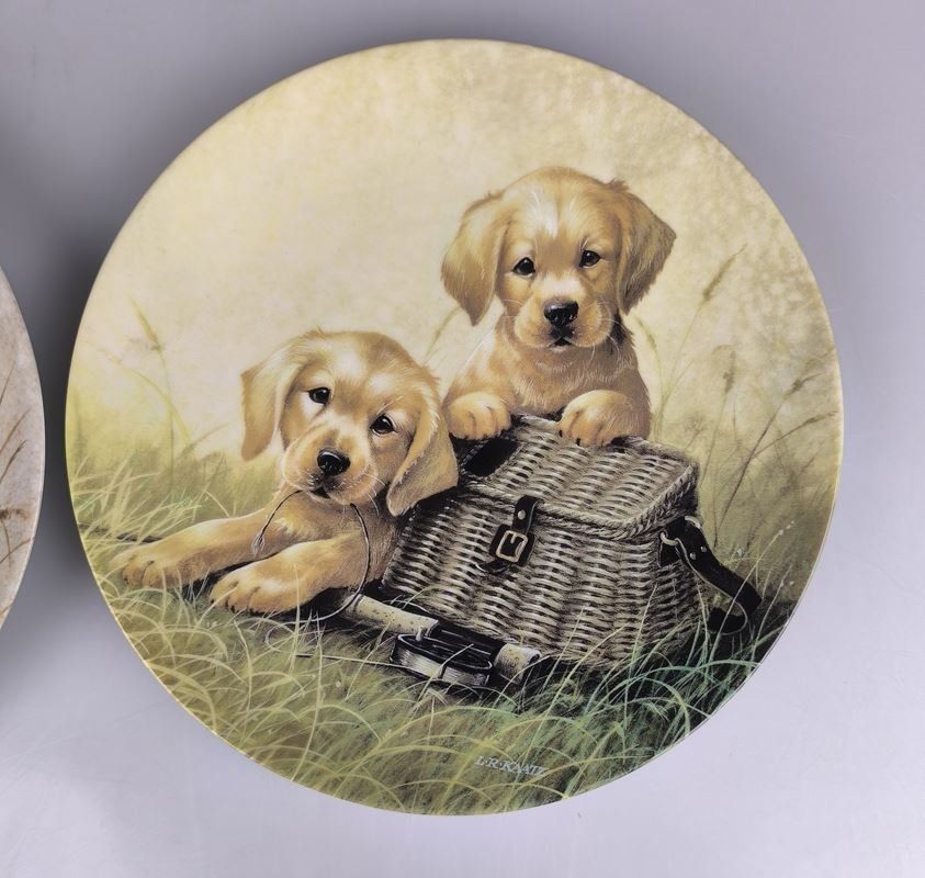 Piatti: 3er Set Sammelteller Hunde – Usato da Rüti ZH venduto da Restwert_Rueti_ZH 5