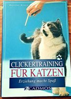 Clickertraining für Katzen