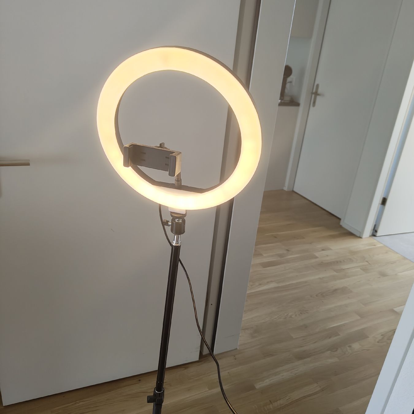 Lampen: Ring Light with RGB and Stand USB powered  – Neu (gemäss Beschreibung) aus Dietikon von jin_hbq2 5