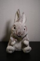 Coop Snow hare Plush