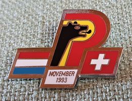 E357 - Pin Berner Polizei Luxemburg - CH