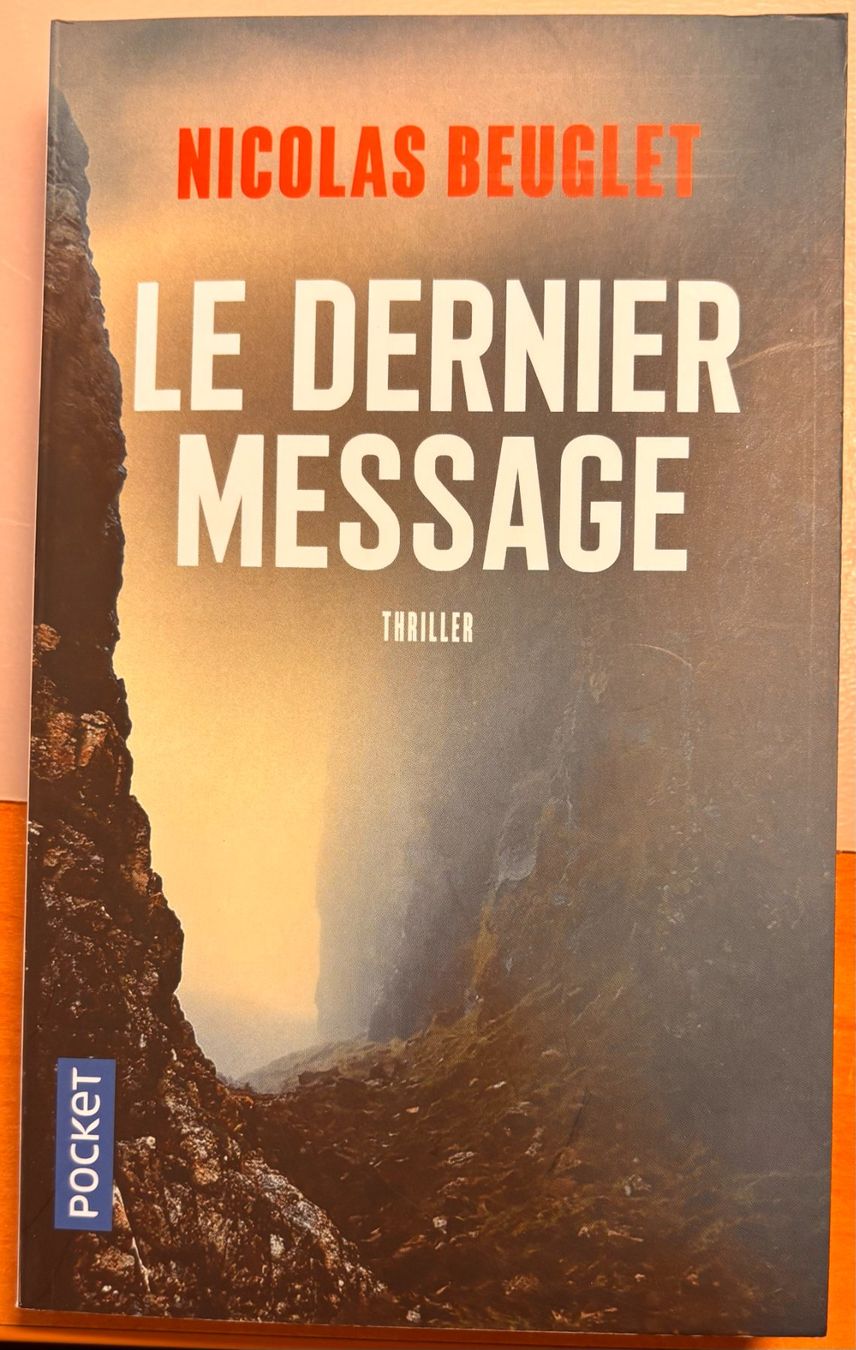 Libri: Thriller de Nicolat Beuglet, "Le dernier message" – Usato da BURTIGNY venduto da annji
