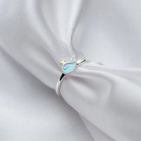 Wal Ring aus Silber