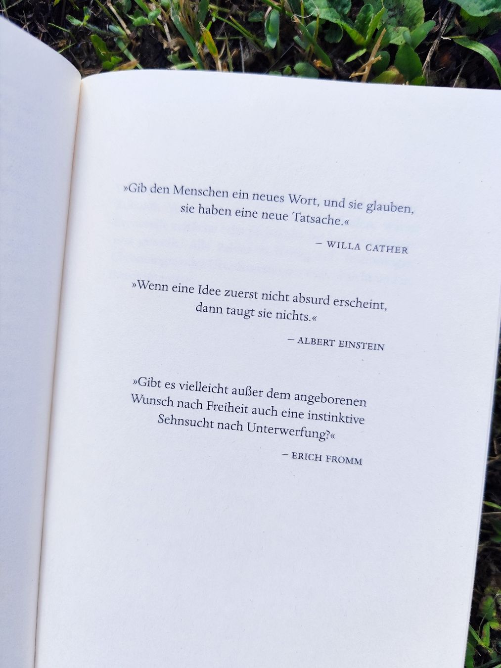 Bücher: Dave Eggers "Every" – Gebraucht aus Mägenwil von VintageGirly 7