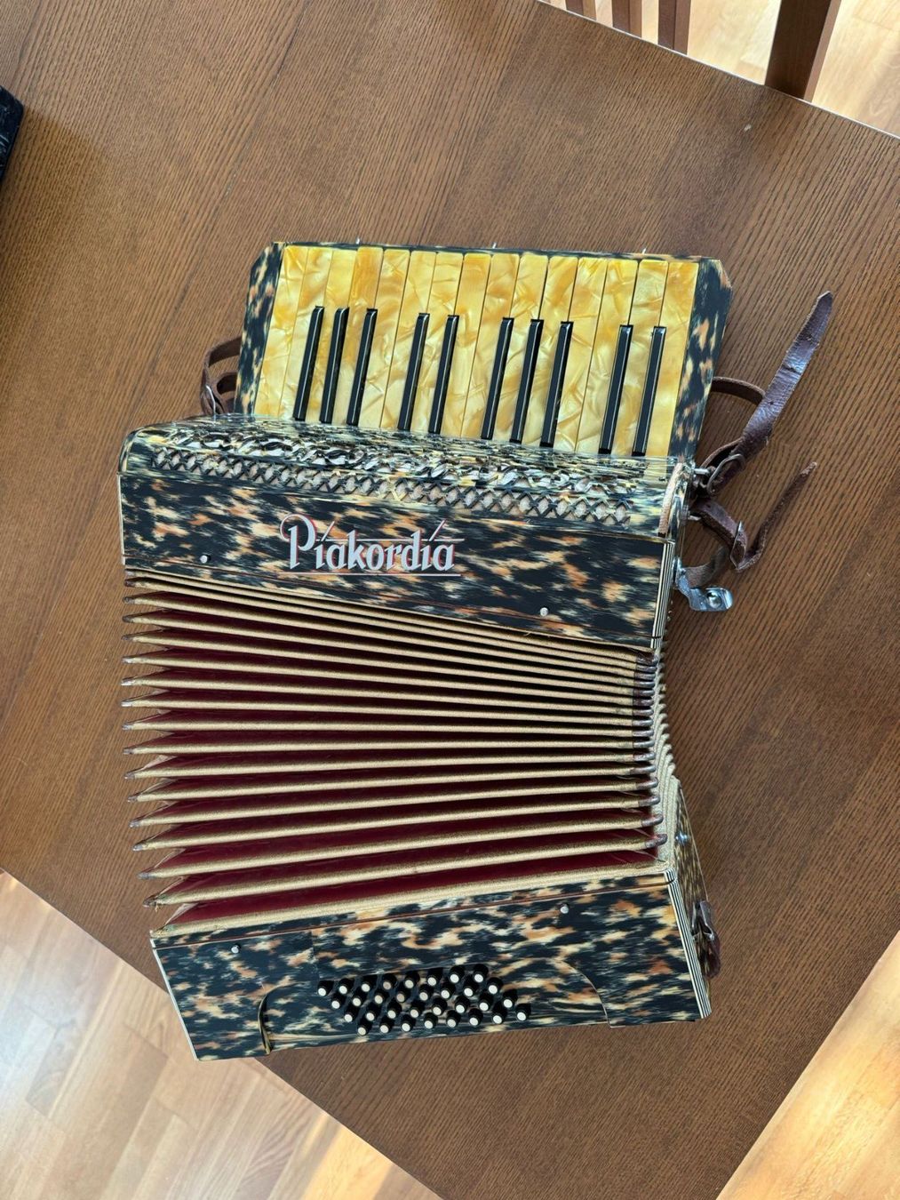 Strumenti musicali: Akkordeon inkl Koffer – Usato da Urdorf venduto da robinson80 1