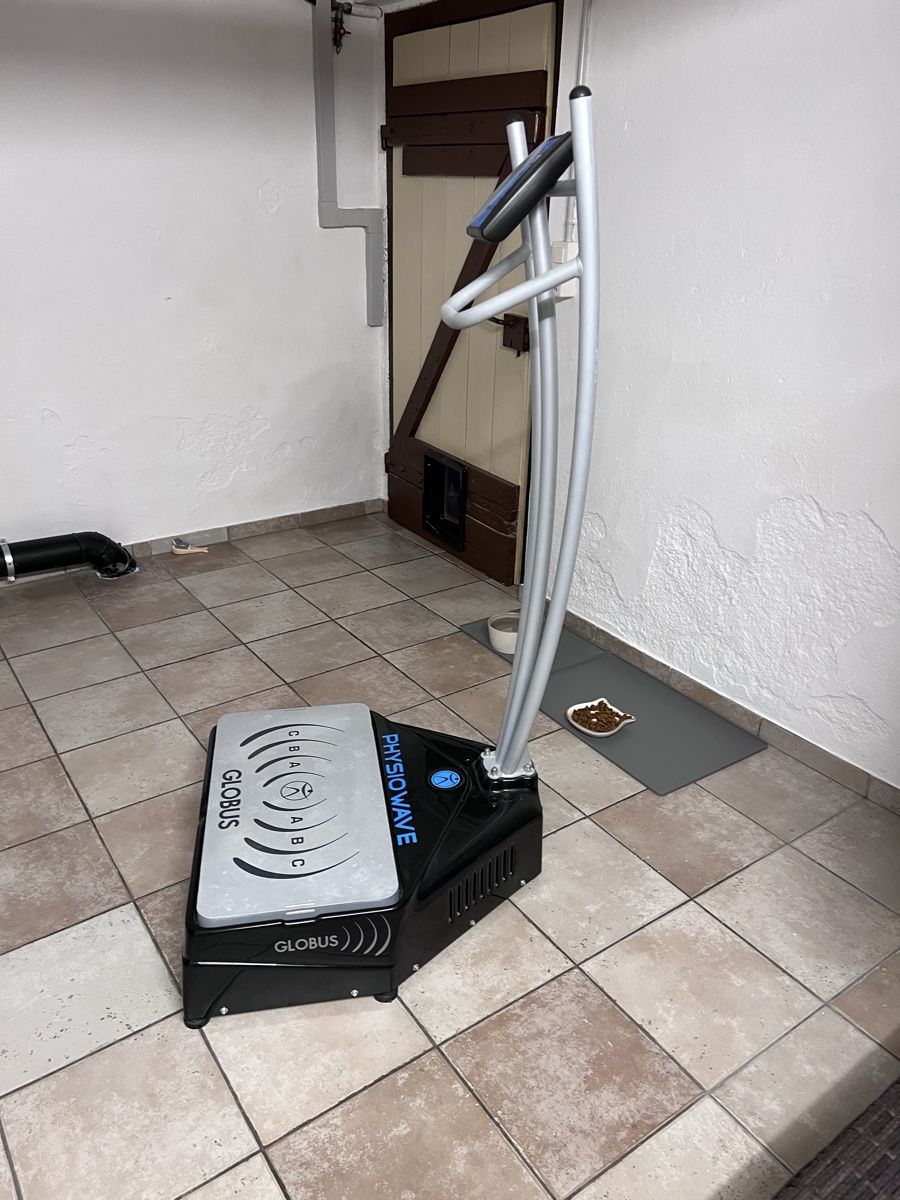 Attrezzature mediche: Globus Physio Wave PRO – Usato da Oberentfelden venduto da Gdsign 1