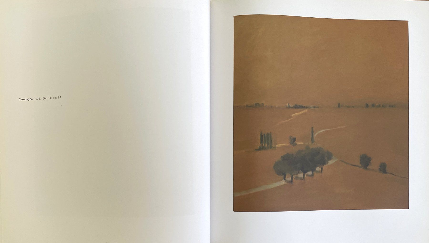 Libri: Daniel Aeberli - Quarante ans de peinture – Usato da Savagnier venduto da Ne2065 3