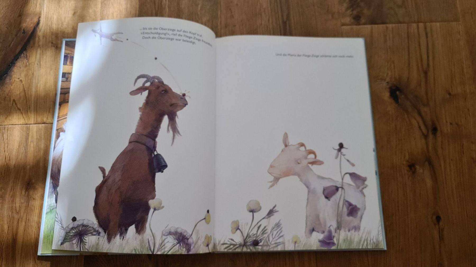 Libri: Buch Die fliege ziege – Usato da Wittenbach venduto da Tigerlili 5