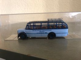 Saurer