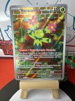 POKÉMON / Maracamba / Journey Together / Illustration 🇩🇪