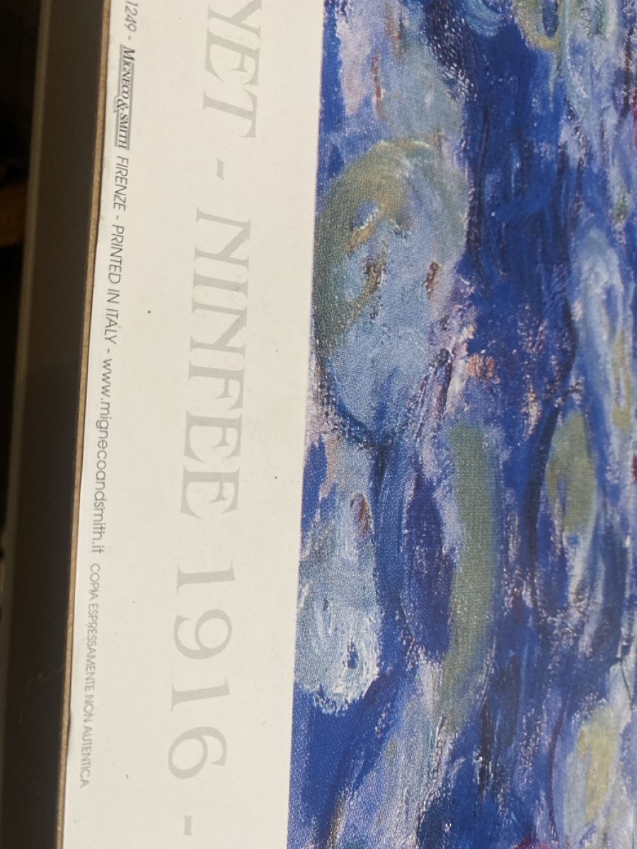 Foto & Immagini: Monet's Water Lilies Print – Usato da Dietikon venduto da Tdaf33 5