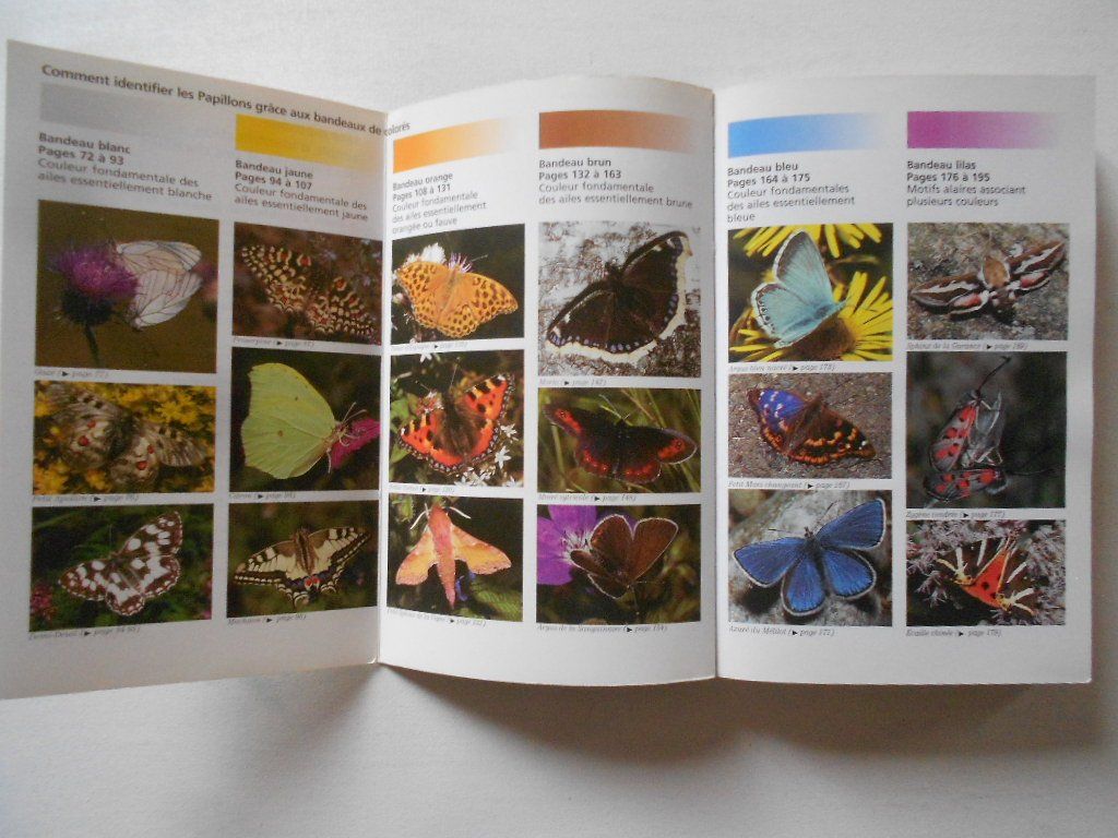 Libri: PAPILLONS ET CHENILLES – Usato da Bex venduto da Giorgiob 4